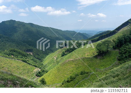 棒ノ折山から黒山、岩茸石山、惣岳山を経由した山道の景色 棒ノ折山から黒山、岩茸石山、惣岳山を経由した山道の景色 115592711