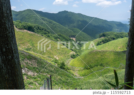 棒ノ折山から黒山、岩茸石山、惣岳山を経由した山道の景色 棒ノ折山から黒山、岩茸石山、惣岳山を経由した山道の景色 115592713