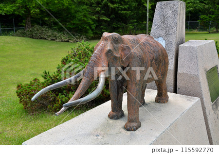 上信越自動車道　黒姫野尻湖パーキングエリアのナウマンゾウ 115592770