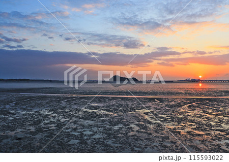北九州市曽根臨海スポーツ公園からの初日の出 115593022