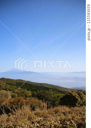 金冠山 金冠山 115593029