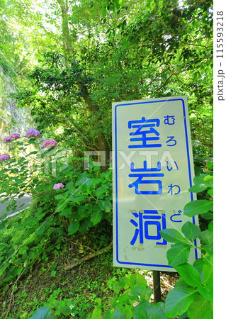 伊豆半島・西伊豆・室岩洞 伊豆半島・西伊豆・室岩洞 115593218