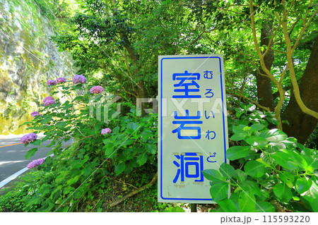 伊豆半島・西伊豆・室岩洞 115593220