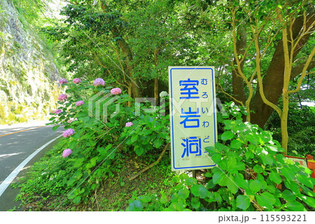 伊豆半島・西伊豆・室岩洞 伊豆半島・西伊豆・室岩洞 115593221