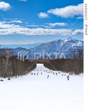 福島県北塩原村にあるスキー場　メインストリートから磐梯山方面を望む 115593243