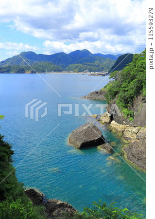 西伊豆　室岩堂裏口の海岸 115593279