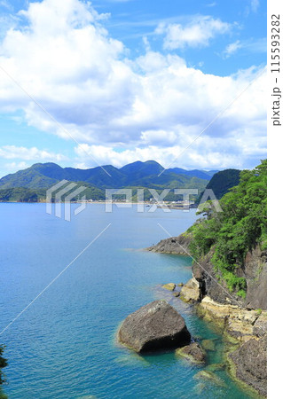 西伊豆 室岩堂裏口の海岸 西伊豆 室岩堂裏口の海岸 115593282