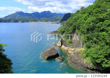 西伊豆 室岩堂裏口の海岸 西伊豆 室岩堂裏口の海岸 115593284