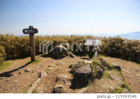 達磨山 達磨山 115593340