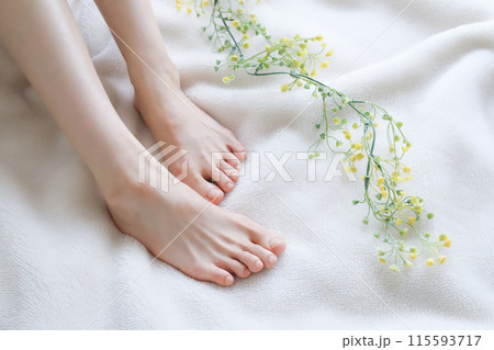 女性の足 フットケア 女性の足 フットケア 115593717