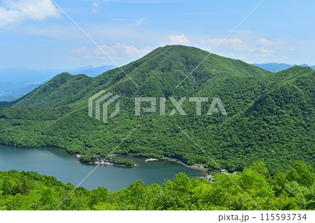 初夏の赤城山・地蔵岳山頂からの展望 初夏の赤城山・地蔵岳山頂からの展望 115593734