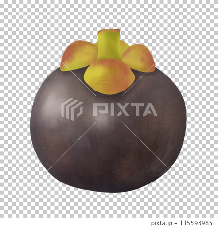 Mangosteen 115593985
