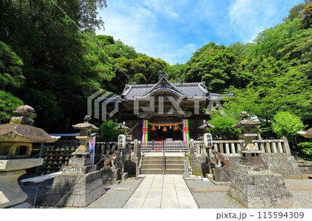 伊豆 白浜神社 伊豆 白浜神社 115594309