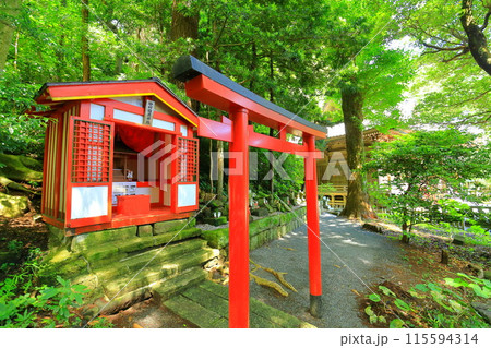 伊豆 白浜神社 伊豆 白浜神社 115594314