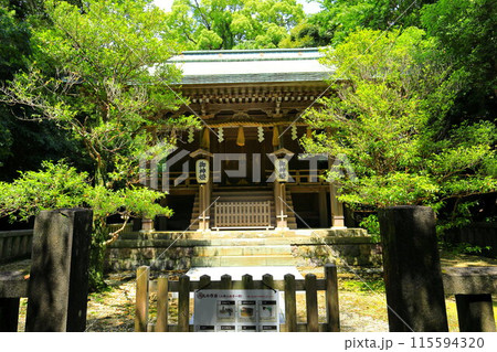 伊豆 白浜神社 伊豆 白浜神社 115594320
