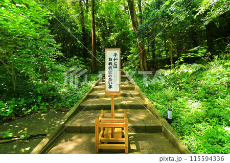 伊豆　白浜神社　 115594336