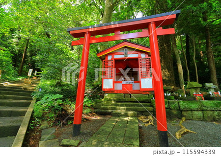 伊豆　白浜神社　 115594339