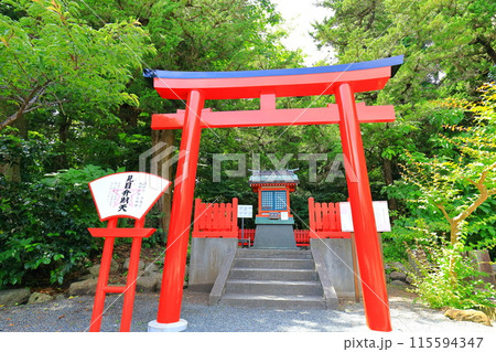 伊豆　白浜神社　 115594347