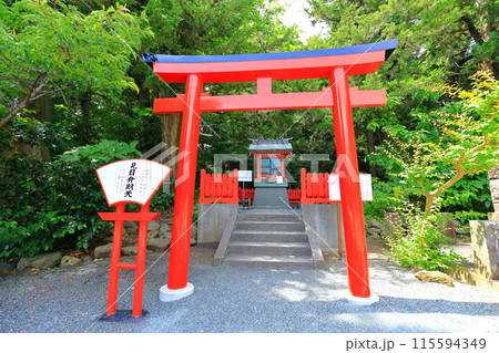 伊豆　白浜神社　 115594349