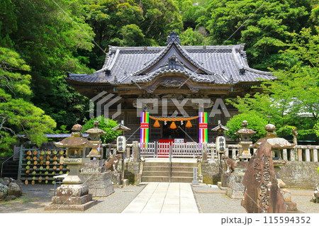 伊豆 白浜神社 伊豆 白浜神社 115594352