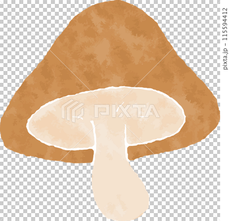 きのこの手描き風イラスト 115594412