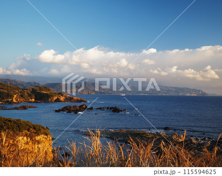 伊豆半島の海岸線 115594625