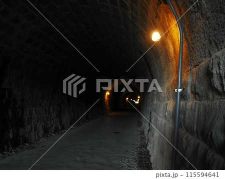 天城山隧道の内部 115594641