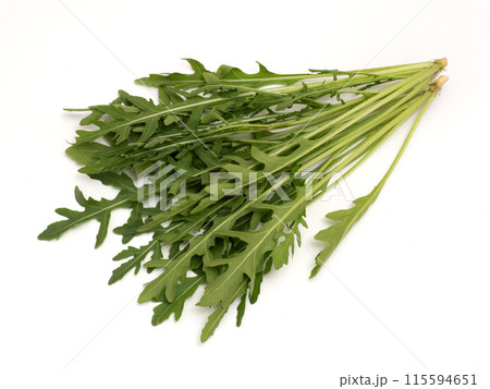 ハーブ　セルバチコ 115594651