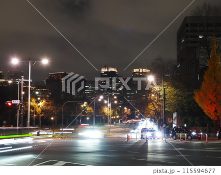 千代田区の夜 千代田区の夜 115594677