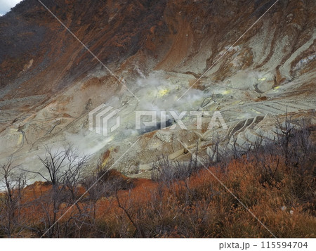 大涌谷の風景 115594704