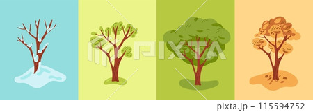 Four seasons tree. Nature change. Cartoon plant in autumn and spring. Winter snowy branches. Summer foliage. Natural buds and leaves. Fall wilting. Seasonal weather. Garish vector concept Four seasons tree. Nature change. Cartoon plant in autumn and spring. Winter snowy branches. Summer foliage. Natural buds and leaves. Fall wilting. Seasonal weather. Garish vector concept 115594752