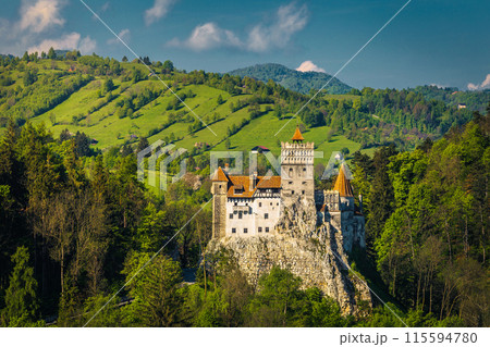 Amazing medieval castle on the cliff, Bran, Transylvania, Romania 115594780