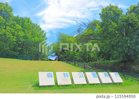 愛知県尾張旭市、名古屋市、森林公園の風景 愛知県尾張旭市、名古屋市、森林公園の風景 115594950