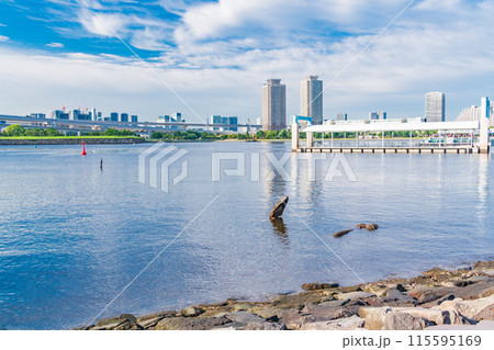 (東京都)お台場海浜公園から眺める水上バスのりばとレインボーブリッジ (東京都)お台場海浜公園から眺める水上バスのりばとレインボーブリッジ 115595169