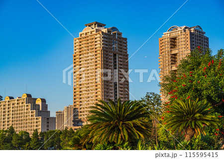 （東京都）お台場海浜公園　南国を思わせる、おだいばビーチ 115595415