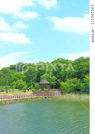 愛知県尾張旭市、維摩池の風景 115595567
