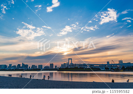 （東京都）お台場海浜公園　お台場ビーチで遊ぶ人たち 115595582