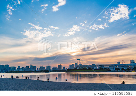 (東京都)お台場海浜公園 お台場ビーチで遊ぶ人たち (東京都)お台場海浜公園 お台場ビーチで遊ぶ人たち 115595583