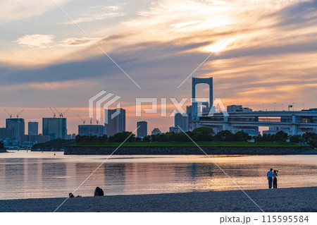 （東京都）お台場海浜公園　お台場ビーチで遊ぶ人たち 115595584