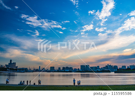 （東京都）お台場海浜公園　お台場ビーチで遊ぶ人たち 115595586