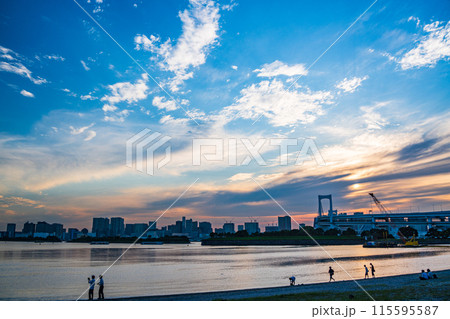 （東京都）お台場海浜公園　お台場ビーチで遊ぶ人たち 115595587