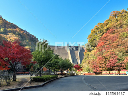 紅葉の季節にダム下から眺めた宮ケ瀬ダムの景色 紅葉の季節にダム下から眺めた宮ケ瀬ダムの景色 115595687