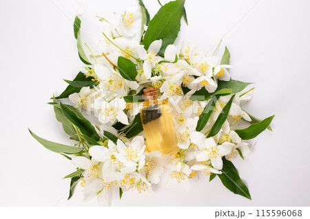 Jasmine essential, bark and Jasmine flowers on white background. Hair treatment. Flat lay Jasmine essential, bark and Jasmine flowers on white background. Hair treatment. Flat lay 115596068