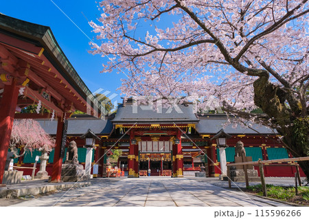 宮城県塩竈市 春の鹽竈神社 唐門 宮城県塩竈市 春の鹽竈神社 唐門 115596266