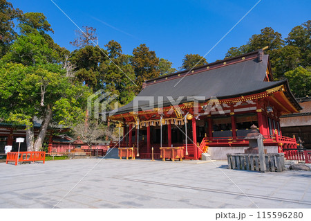 宮城県塩竈市 鹽竈神社 左右宮拝殿 宮城県塩竈市 鹽竈神社 左右宮拝殿 115596280