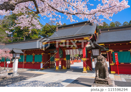 宮城県塩竈市 春の鹽竈神社 唐門 115596294