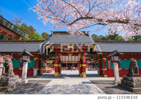 宮城県塩竈市 春の鹽竈神社 唐門 115596338
