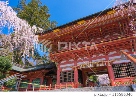 宮城県塩竈市 春の鹽竈神社 随身門 115596340