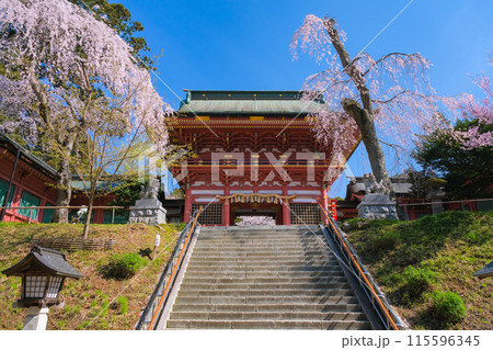 宮城県塩竈市 春の鹽竈神社 随身門 宮城県塩竈市 春の鹽竈神社 随身門 115596345