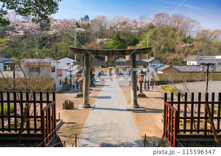 宮城県塩竈市 鹽竈神社 表参道 宮城県塩竈市 鹽竈神社 表参道 115596347